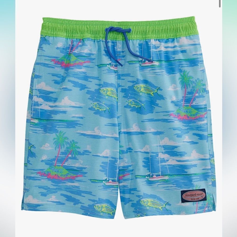 Vineyard Vines Boys Chappy Drawstring Swim Trunks With Stretch, XL, Like New